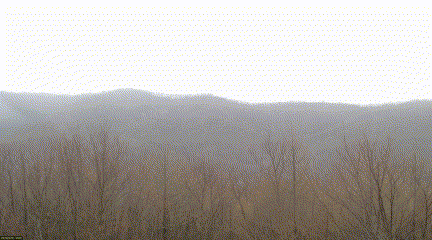 http://www.forest.kyushu-u.ac.jp/pub/output_comp_210624_1743_01.gif