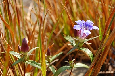 2009-10-21-13-29-50_ya.jpg