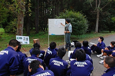 2009-11-05-14-39-02_ya.jpg