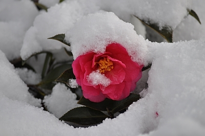 2010-01-13-13-48-52_ii.jpg
