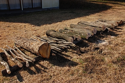 2010-01-27-10-23-07_ya.jpg