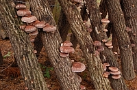 2010-02-16-10-43-59_ya.jpg