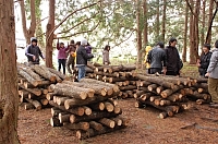 2010-02-16-11-30-50_ya.jpg
