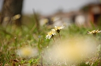 2010-03-16-12-48-13_ya.jpg
