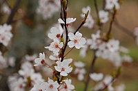 2010-03-16-12-50-34_ya.jpg