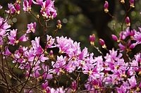 2010-03-16-12-57-40_ya.jpg
