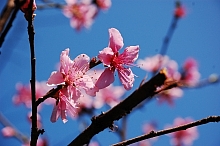 2010-03-19-10-23-47_ya.jpg
