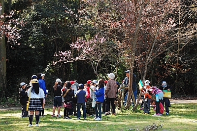 2010-03-19-10-42-19_ya.jpg