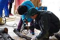 2010-03-25-10-36-59_ya.jpg