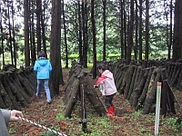 2010-03-25-10-50-08_aa.jpg