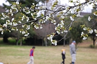 2010-03-25-11-03-37_ya.jpg