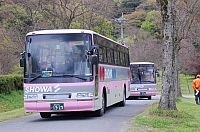 2010-04-15-15-07-55_ya.jpg