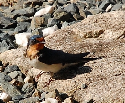 2010-05-14-08-30-01_ya.jpg