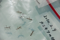 2010-05-14-08-47-18_ya.jpg