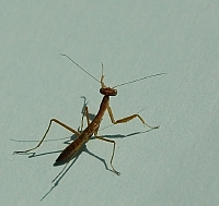 2010-05-14-08-50-44_ya.jpg