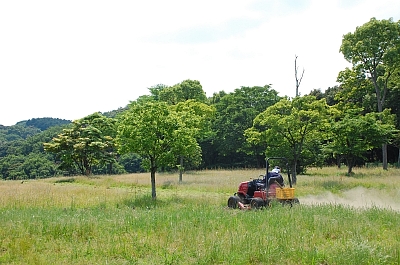 2010-06-01-14-40-29_ya.jpg