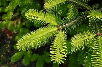 2010-06-01-14-45-22_ya.jpg