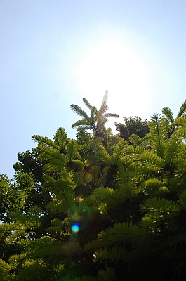 2010-06-01-14-45-31_ya.jpg