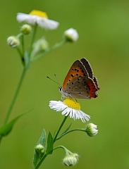 2010-06-22-12-44-52_ya.jpg