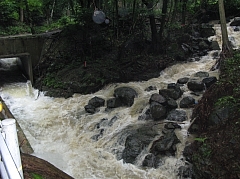 2010-07-13-11-34-32_ya.jpg