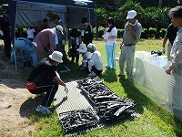 2010-08-19-09-52_aa.jpg