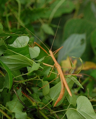 2010-09-06-16-28-09_ya.jpg