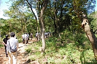 2010-09-17-11-11-23_ya.jpg