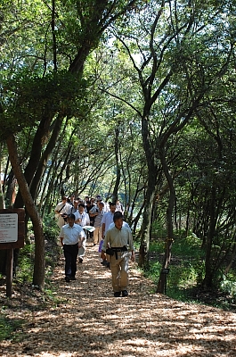 2010-09-17-11-23-04_ya.jpg