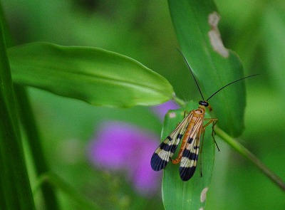 2010-09-9-14-08_ii.jpg