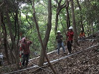 2010-10-06-10-52-10_aa.jpg