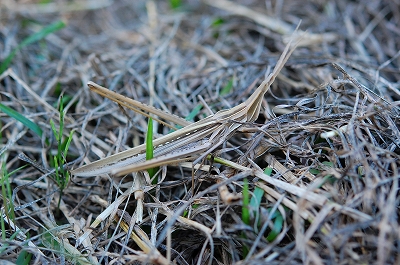 2010-10-29-12-42-02_ya.jpg