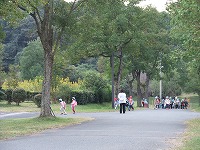 2010-11-02-10-15-30_aa.jpg