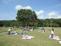 2010-11-02-10-57-58_aa.jpg