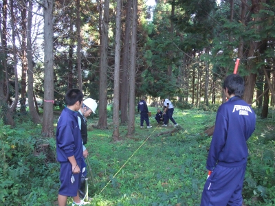 2010-11-04-14-33-57_aa.jpg