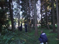 2010-11-04-14-39-01_aa.jpg