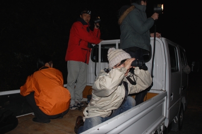 2010-11-08-19-17-49_ya.jpg