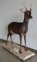 2010-12-17-11-29-06_ya.jpg