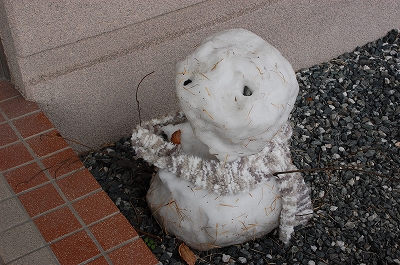 2010-12-27-12-49-02_ya.jpg
