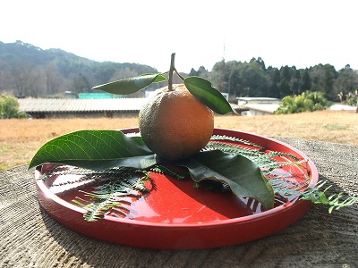 2010-12-28-10-44-22_aa.jpg