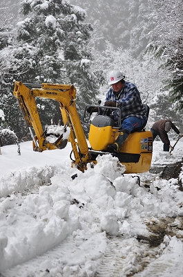 2011-01-11-14-16-18_ii.jpg