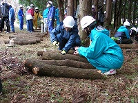 2011-02-17-09-24-15_oo.jpg