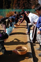 2011-02-21-11-45-13_ya.jpg