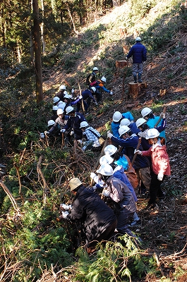 2011-02-22-09-51-04_ya.jpg