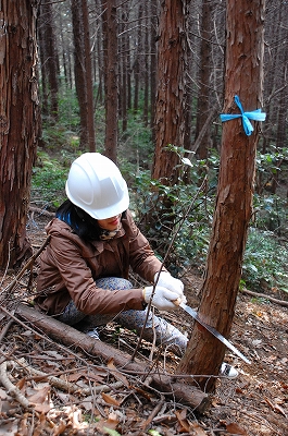 2011-02-23-15-56-33_ya.jpg