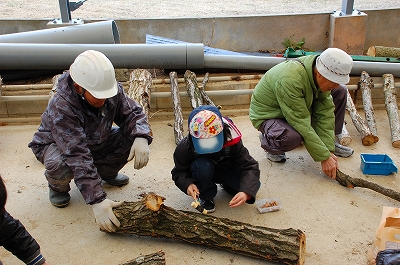 2011-03-25-10-29-46_ya.jpg