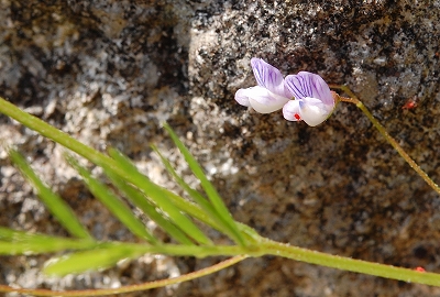 2011-04-13-12-42-16_ya.jpg