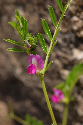 2011-04-13-12-43-40_ya.jpg