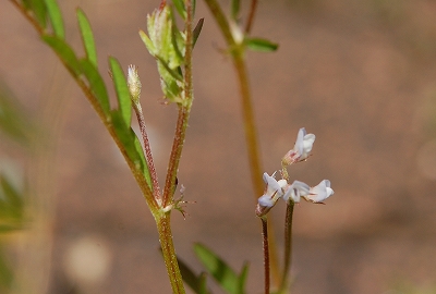 2011-04-13-12-45-42_ya.jpg