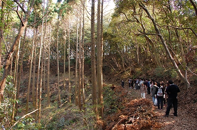 2011-04-14-15-48-40_ya.jpg