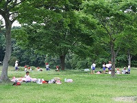 2011-05-20-13-00-04_aa.jpg